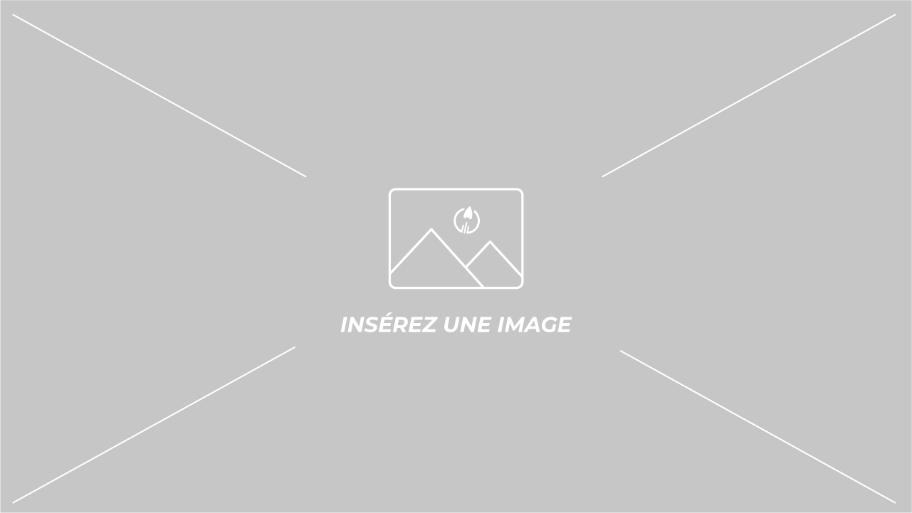 Une fiche produit dans un français irréprochable